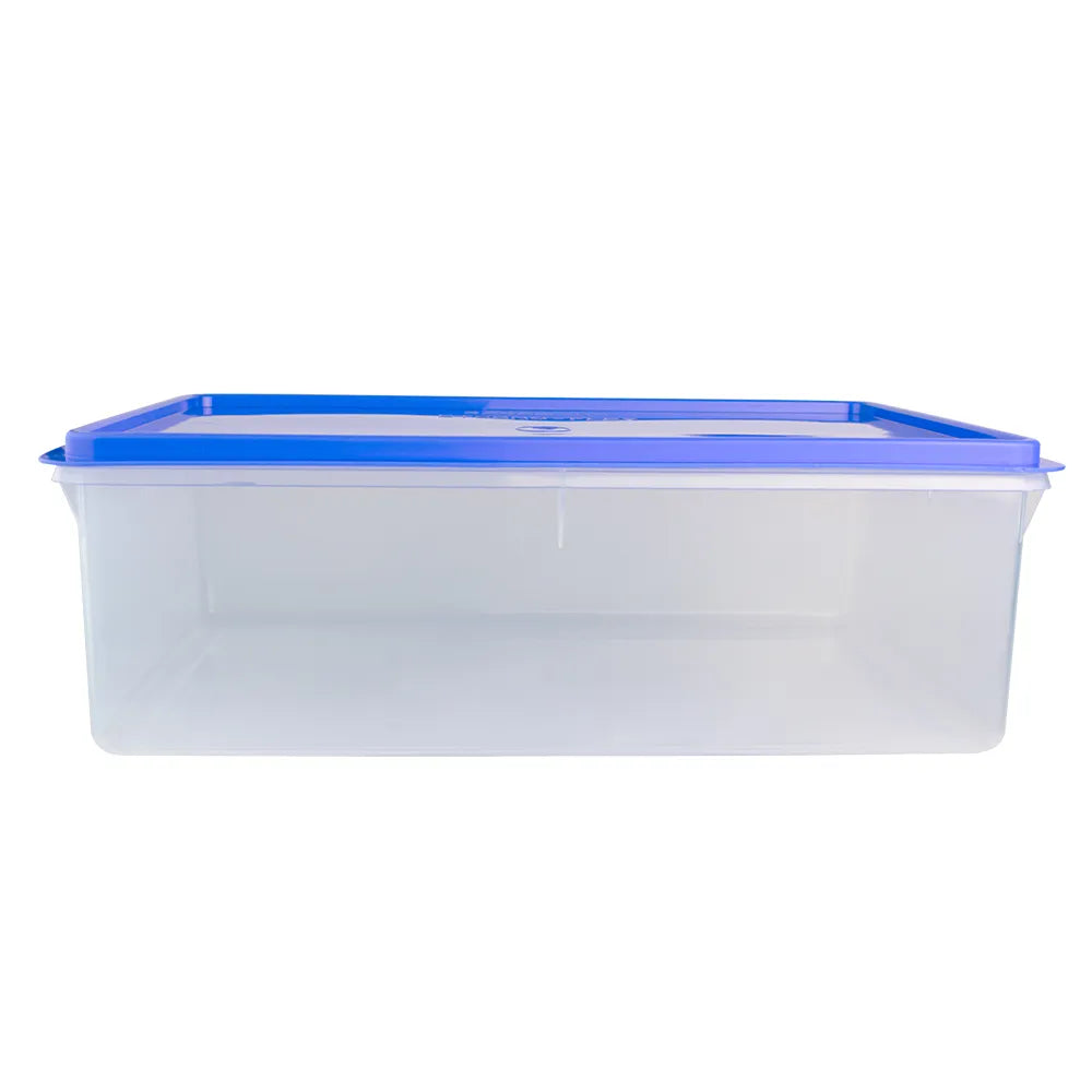 Caja Conservadora # 7 Basa