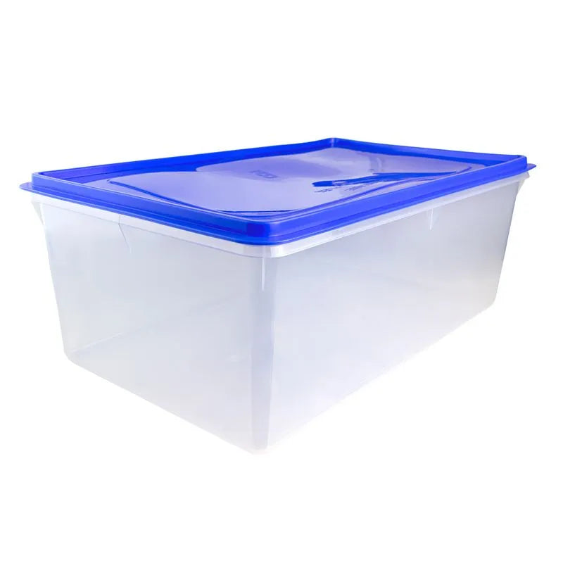 Caja Conservadora # 9 - Basa
