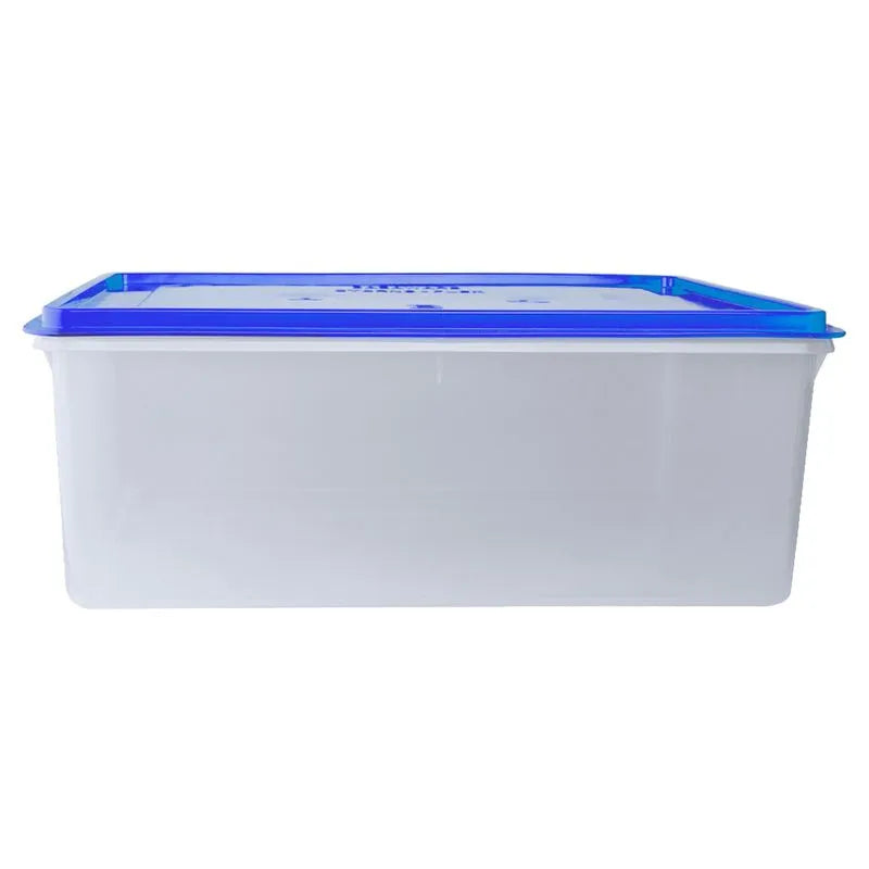 Caja Conservadora # 12 Basa