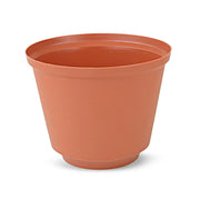 Maceta Tulipan #23 C/Tapa Rey
