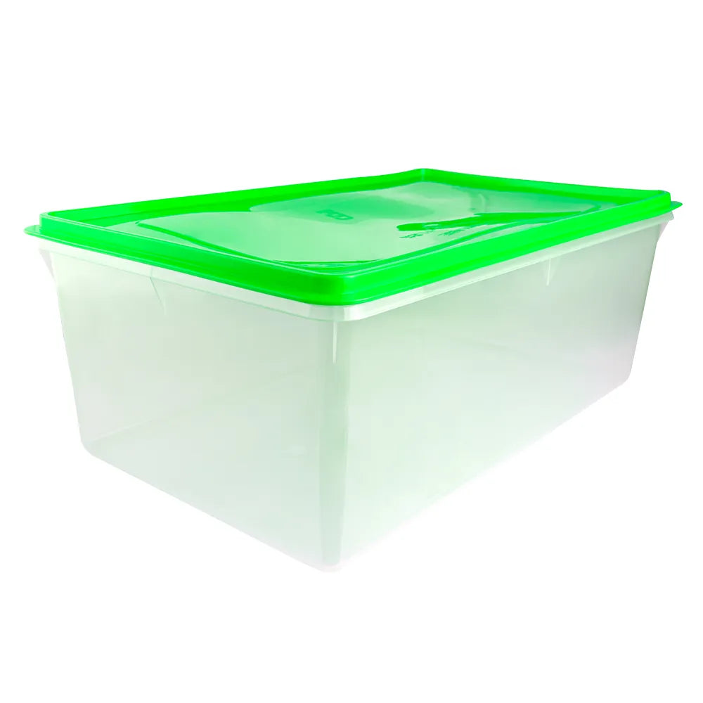 Caja Conservadora # 9 - Basa