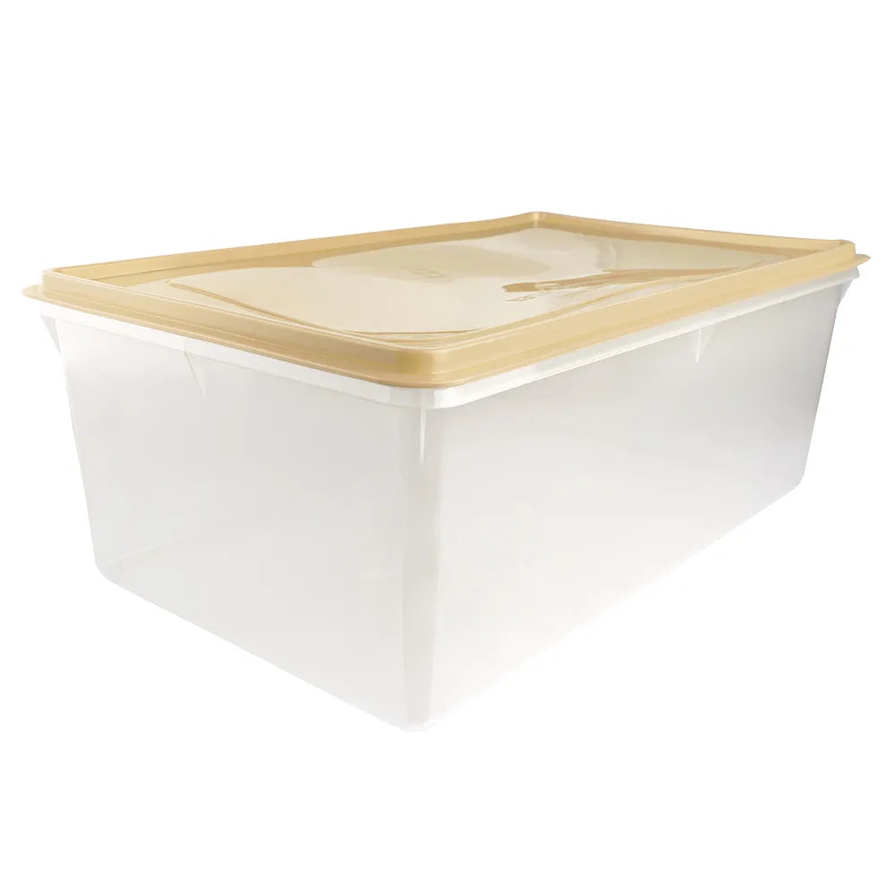 Caja Conservadora # 9 - Basa