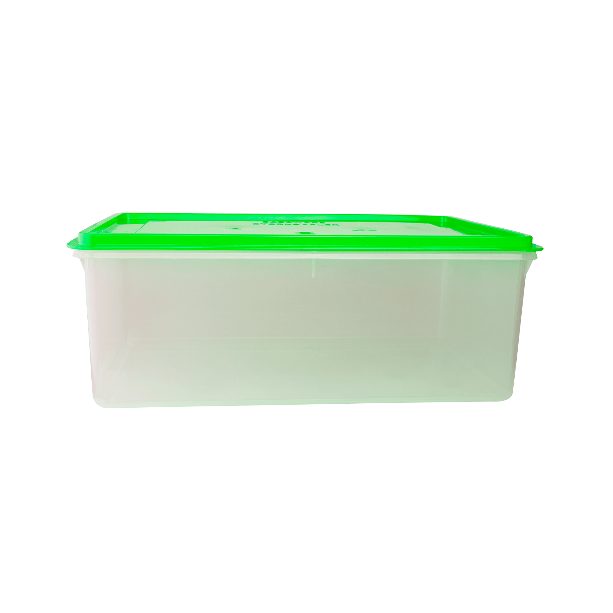 Caja Conservadora # 11- Basa