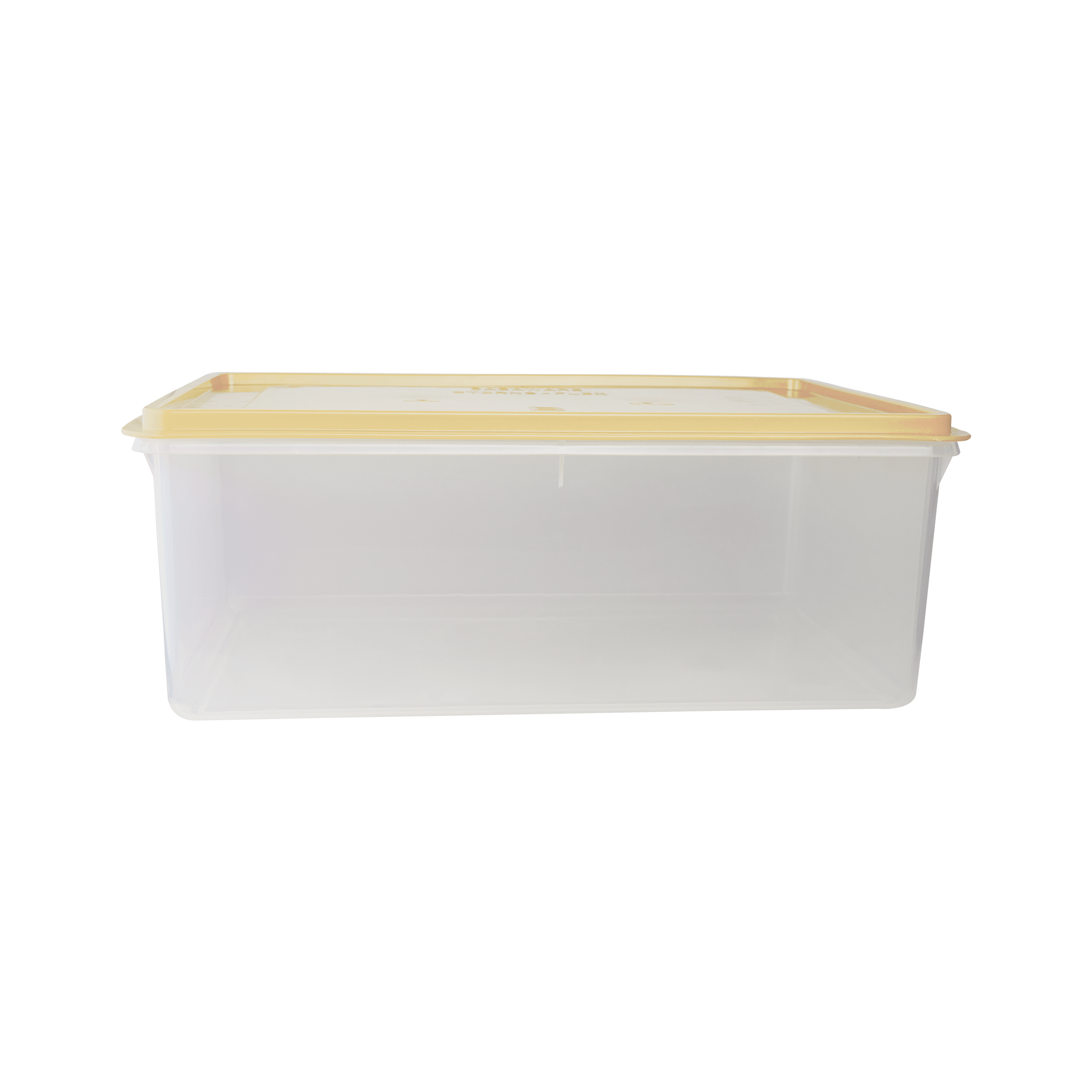 Caja Conservadora # 11- Basa
