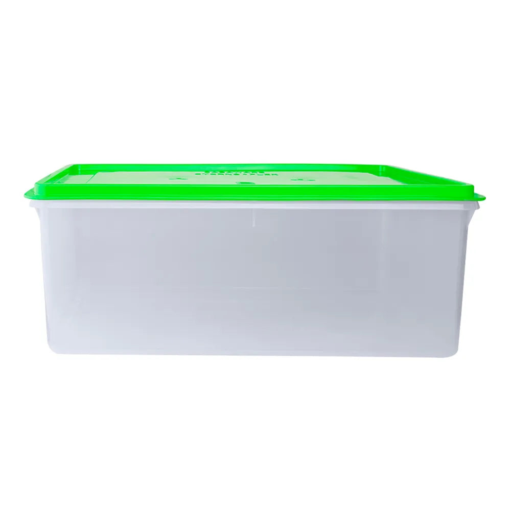 Caja Conservadora # 12 Basa
