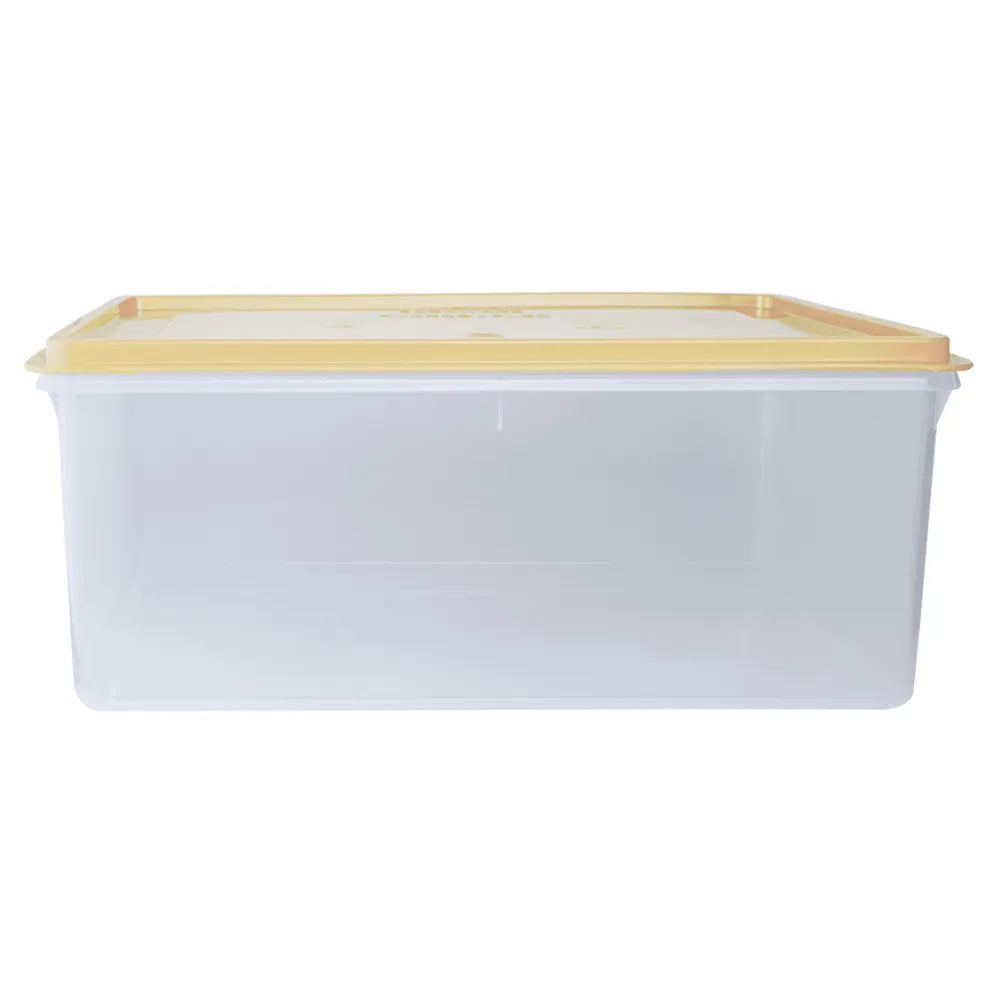 Caja Conservadora # 12 Basa
