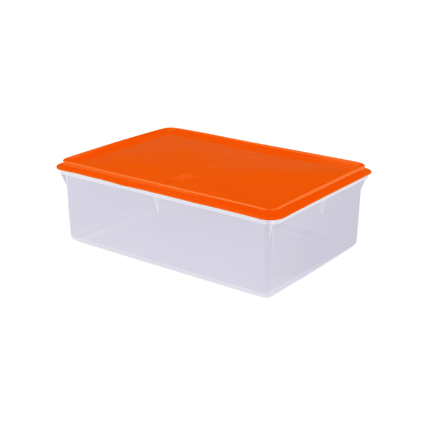 Caja Conservadora # 5 - Basa